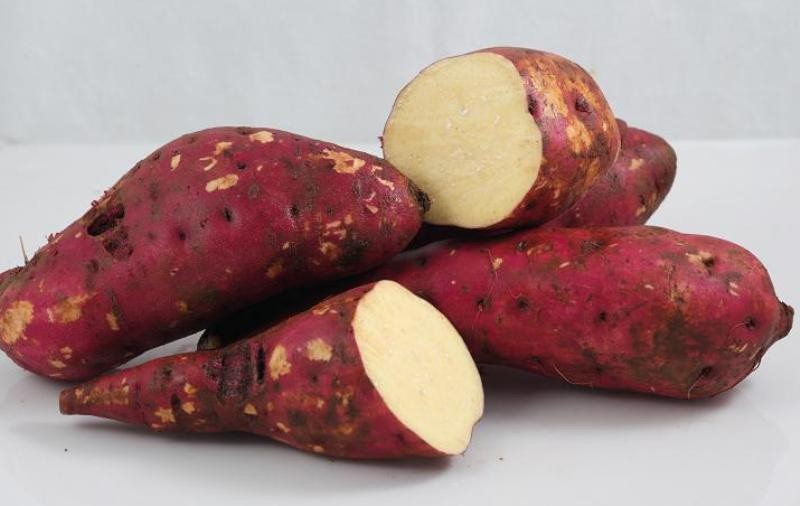 Bat-mi-cach-tri-mun-trung-ca-an-toan-voi-thuc-pham-tu-nhien1