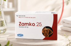 Thuốc Zamko 25 dùng trong trường hợp nào_ Thành phần, cách dùng và lưu ý