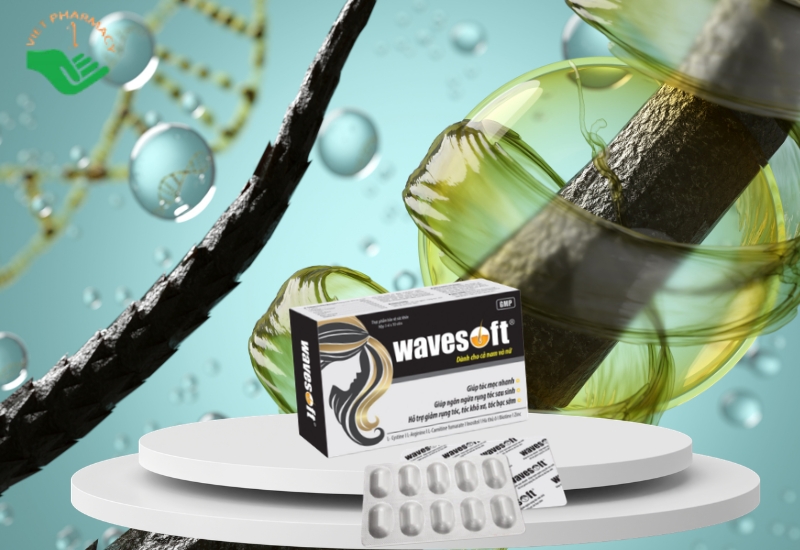 Viên uống dưỡng làm đen tóc Wavesoft