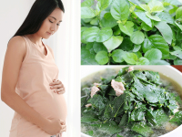 Rau ngót Nhật- loại rau bà bầu nên cẩn thận trước khi ăn