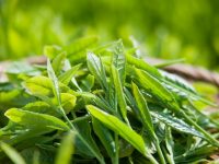 Cách làm trắng da với trà xanh đơn giản mà hiệu quả