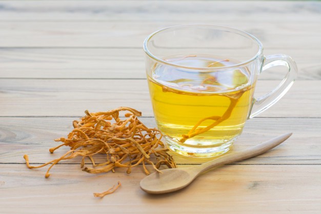 Cách pha trà đông trùng hạ thảo