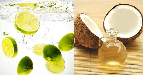 cach-tay-te-bao-chet-voi-dau-dua