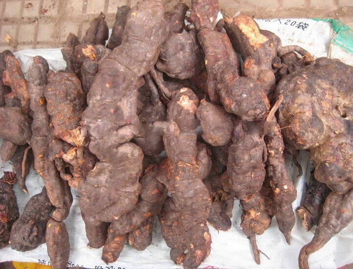 cach-tri-rung-toc-voi-ha-thu-o