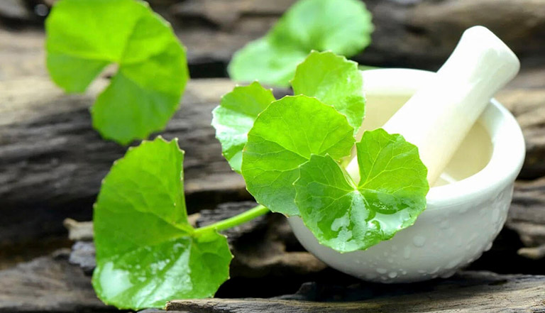 cach-tri-seo-loi-bang-rau-ma