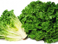 Thực phẩm giúp buồng trứng khỏe mạnh chị em nên biết