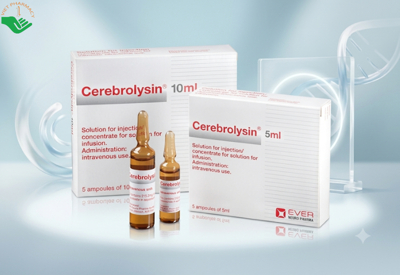 Cerebrolysin 10ml: giải pháp đột phá hỗ trợ điều trị và phục hồi thiếu máu não