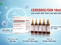 Cerebrolysin 10ml: giải pháp đột phá hỗ trợ điều trị và phục hồi thiếu máu não