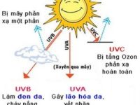 Bạn biết tại sao phải sử dụng kem chống nắng thường xuyên chưa?
