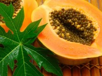 Mách bạn mẹo hay chữa bệnh từ lá đu đủ