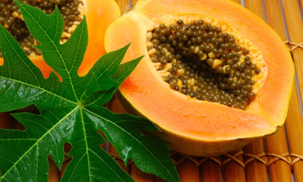 mach-ban-meo-hay-chua-benh-tu-la-du-du