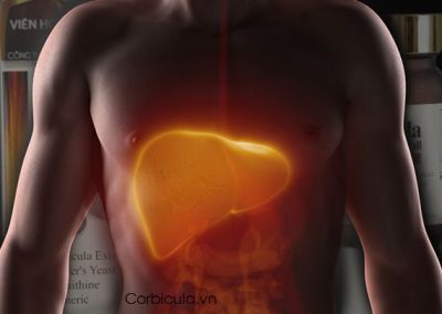 men-gan-cao-co-nguy-hiem-khong