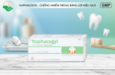 Naphacogyl Nam Hà: "Khắc tinh" của những cơn đau nhức do viêm nướu, áp xe răng