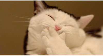 nhung-cau-chuyen-nen-doc-mot-lan-1