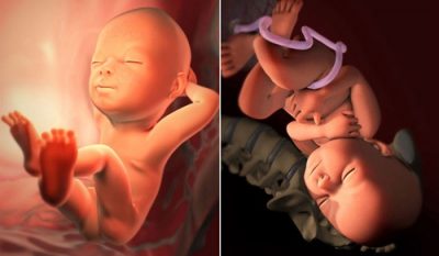 thoi-quen-xau-cua-me-co-the-di-truyen-toi-thai-nhi-1