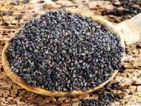 5 thực phẩm dành cho người già đau lưng