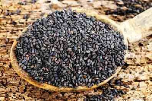 thuc-pham-nguoi-dau-lung -2