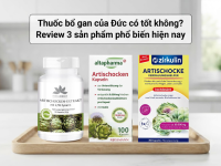 Thuốc bổ gan của Đức có tốt không? Review 3 sản phẩm phổ biến hiện nay