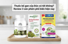 Thuốc bổ gan của Đức có tốt không? Review 3 sản phẩm phổ biến hiện nay