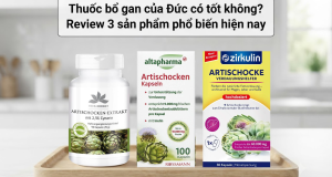 Thuốc bổ gan của Đức có tốt không? Review 3 sản phẩm phổ biến hiện nay